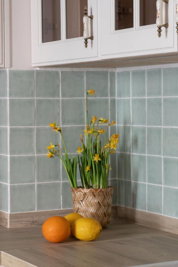 Hommyhome Sevilla Natural Passivhaus エクステリア 写真